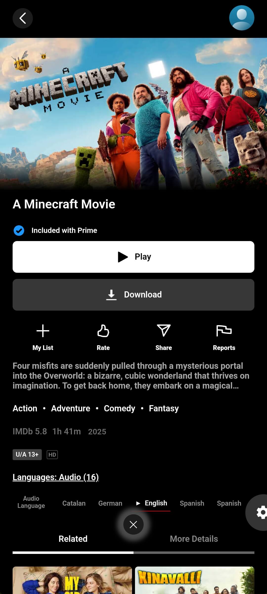 A Minecraft Movie on NetMirror