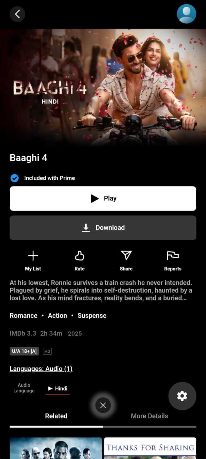 Baaghi 4 on NetMirror