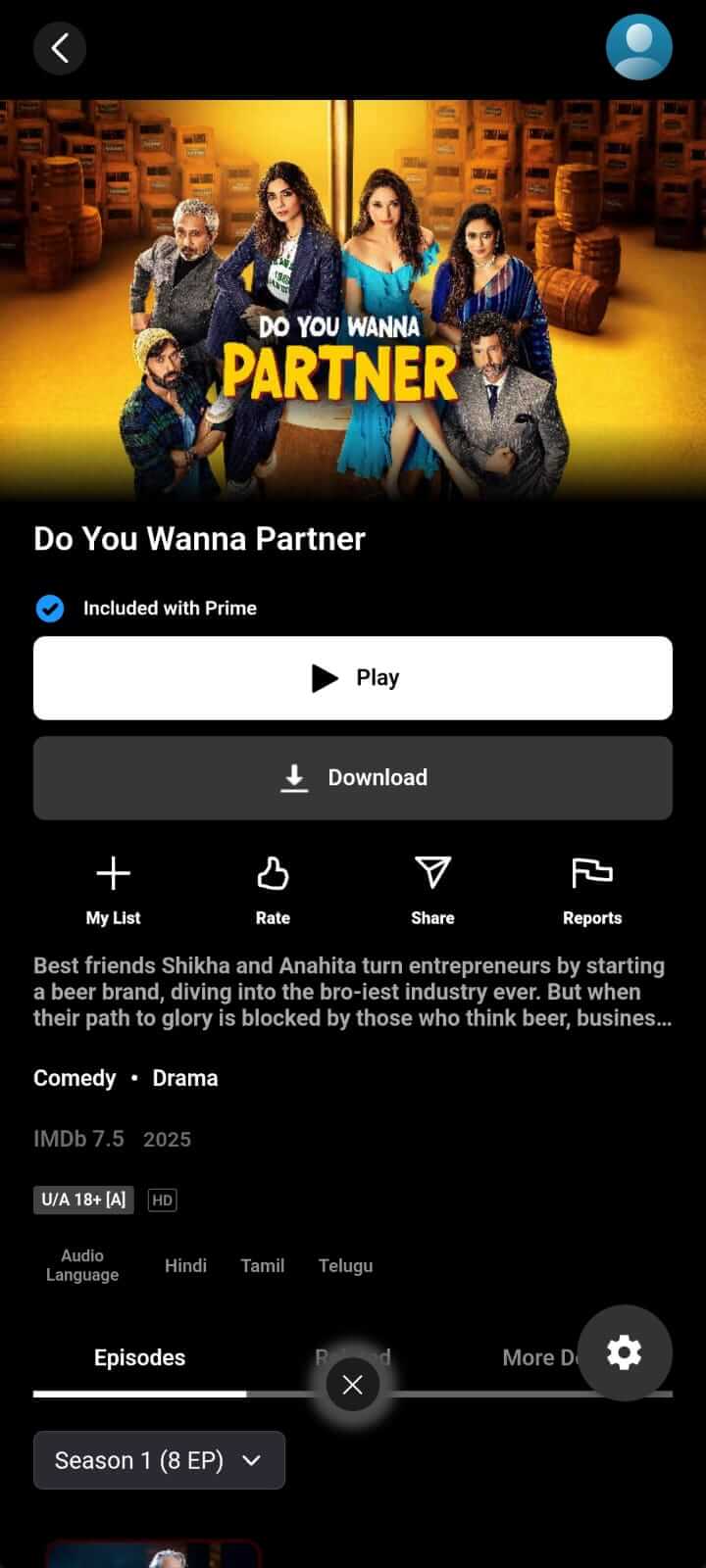 Do You Wanna Partner on NetMirror