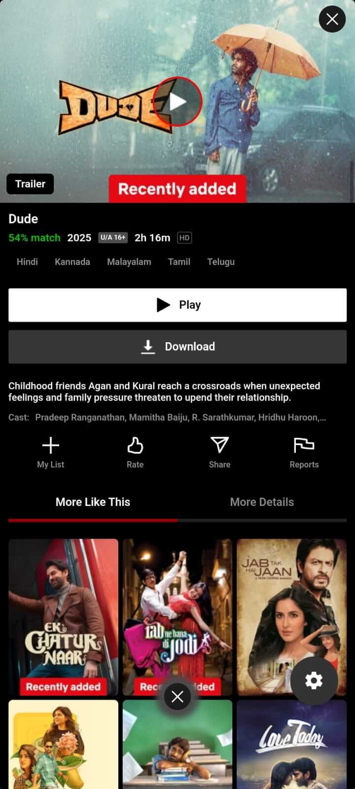 Dude Movie on NetMirror