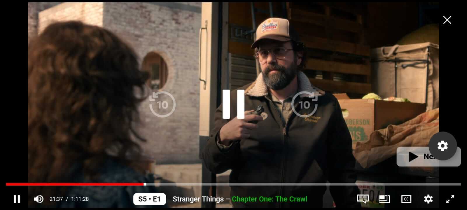 Watch Stranger Things New Season on NetMirror
