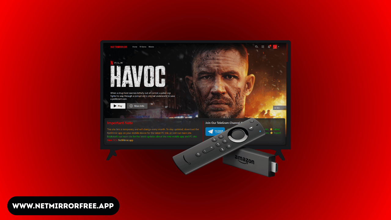 Download Movies from NetMirror on FireStick
